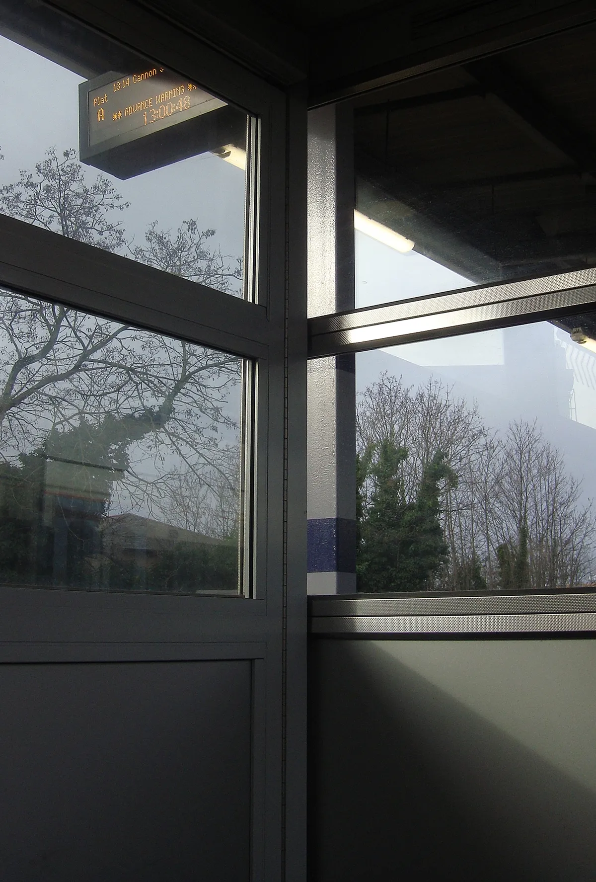 Photo_0174