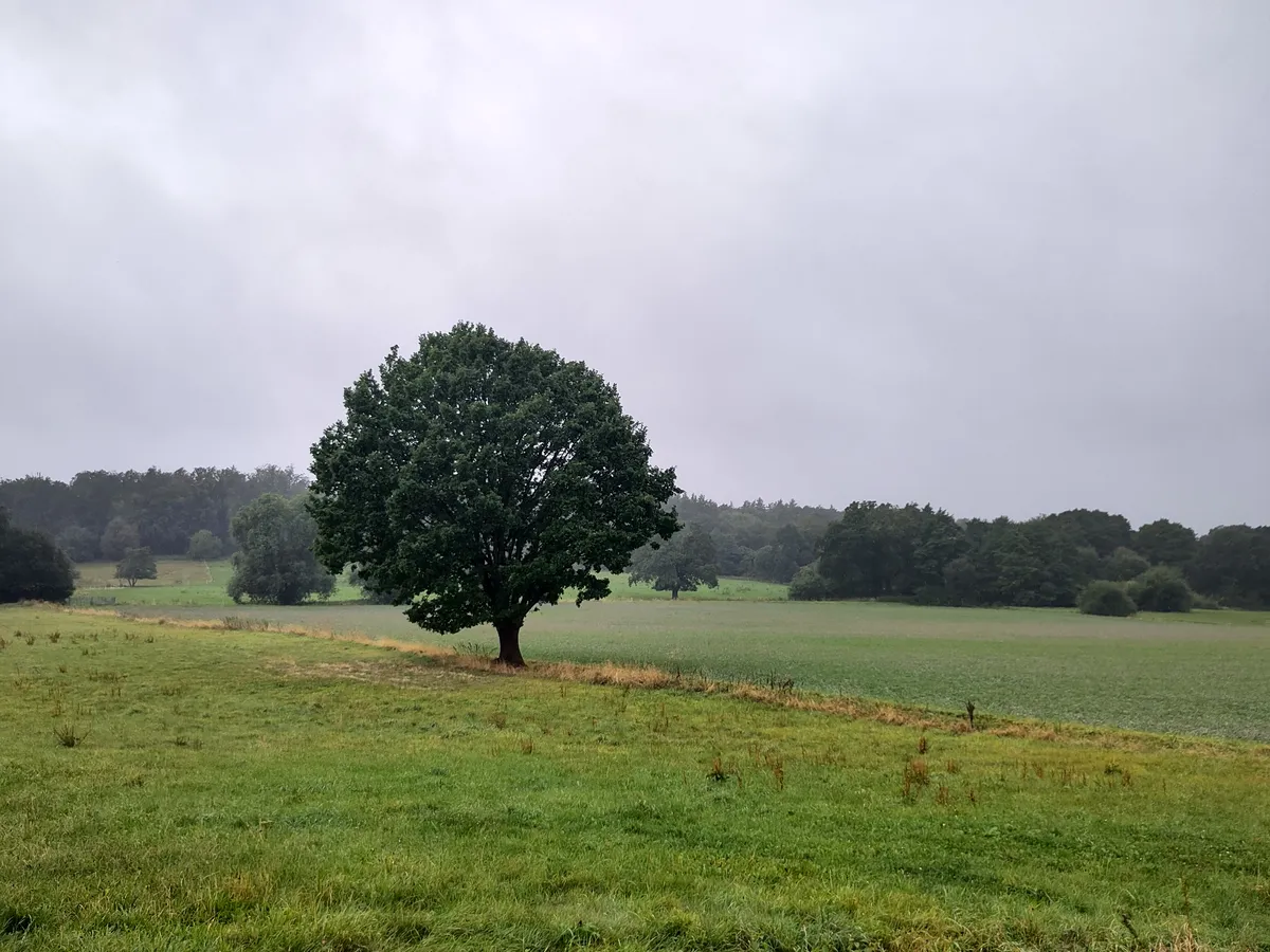 Titelfoto
