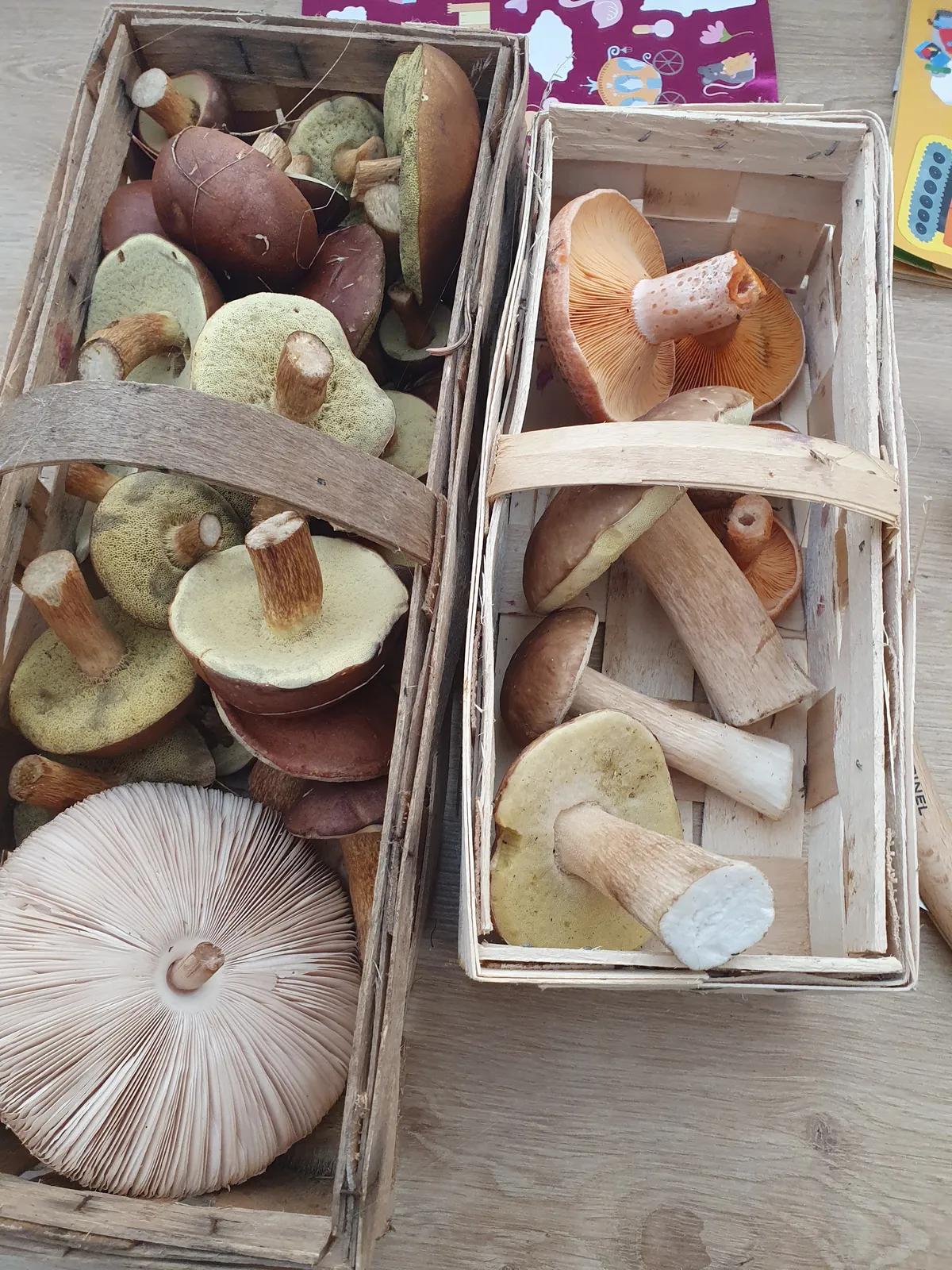 Gemischtes Lecker