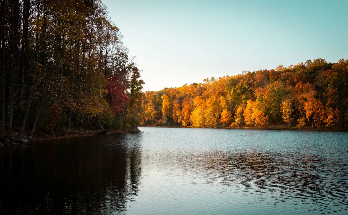 sunshine over creek 2
