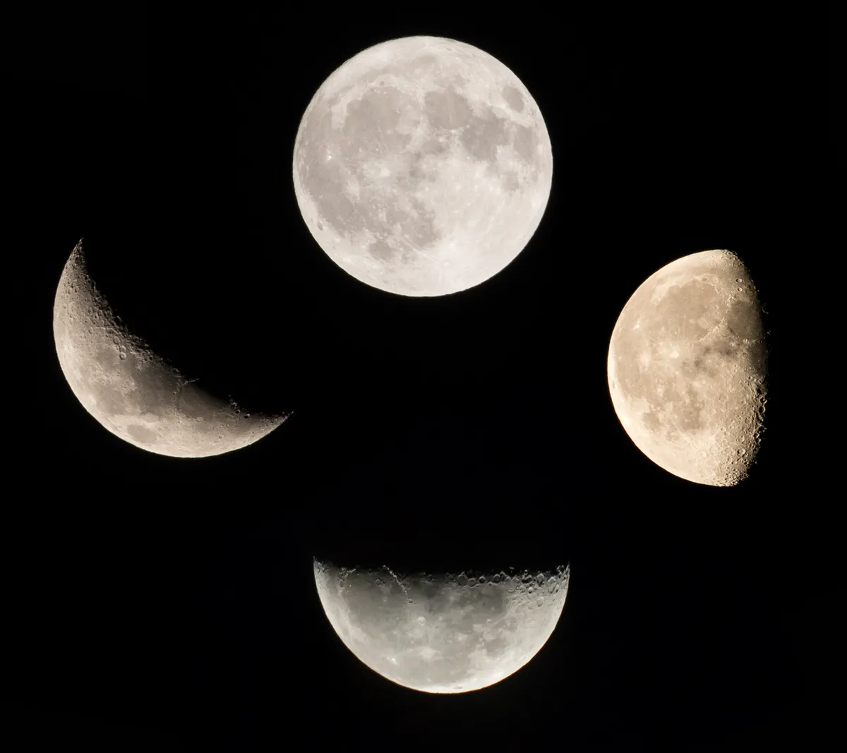Moon Phases