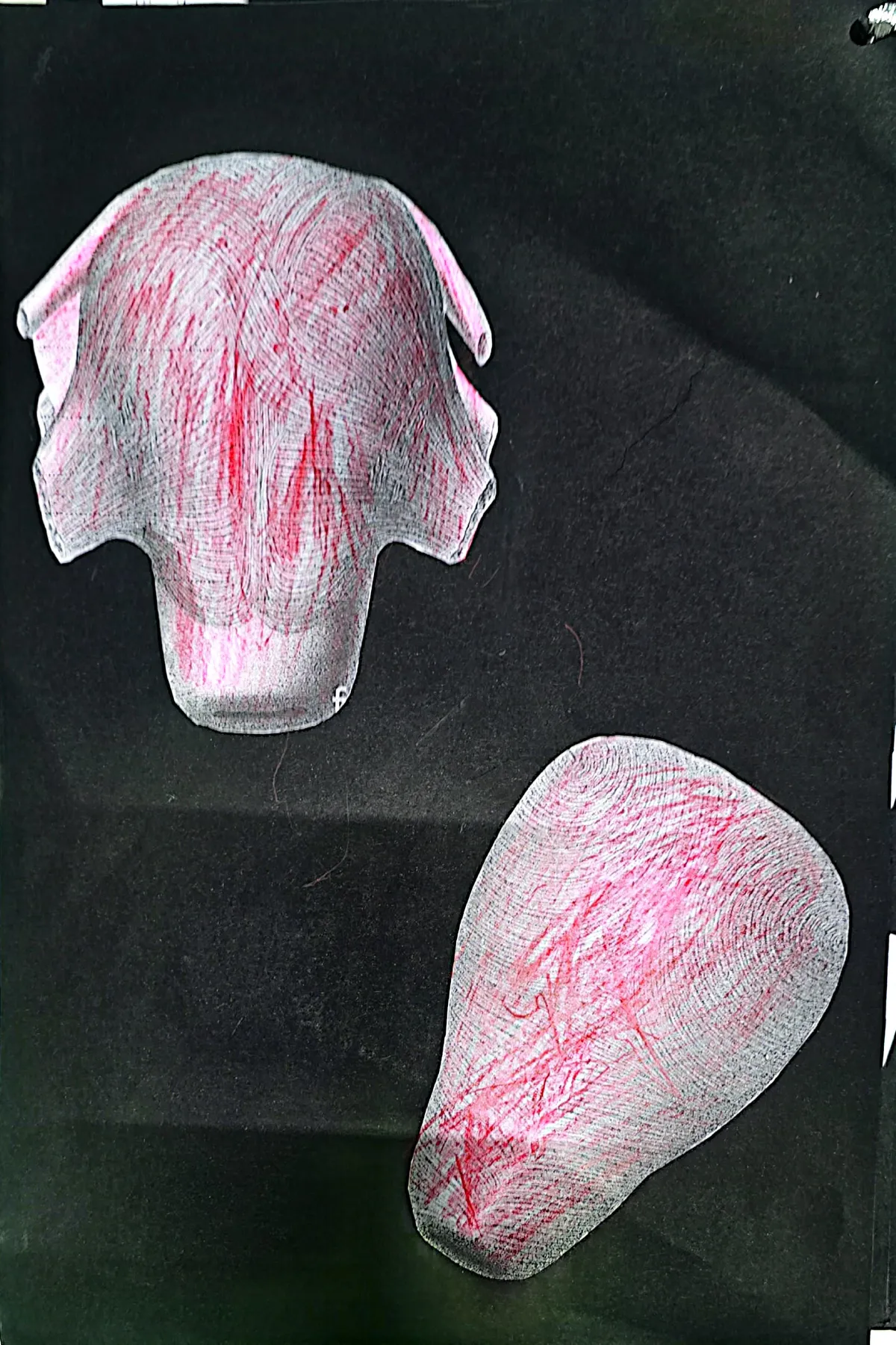 Muscoli dell'apparato riproduttore_8 (1)