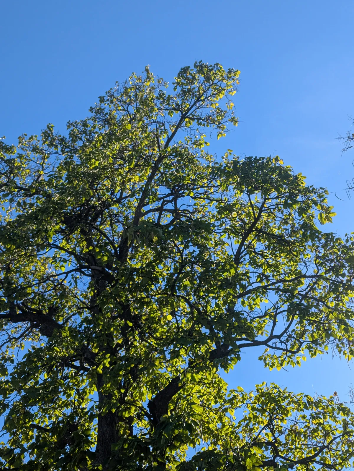 PXL_20251023_193328841