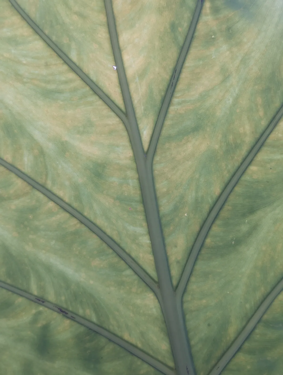 PXL_20250929_225051312