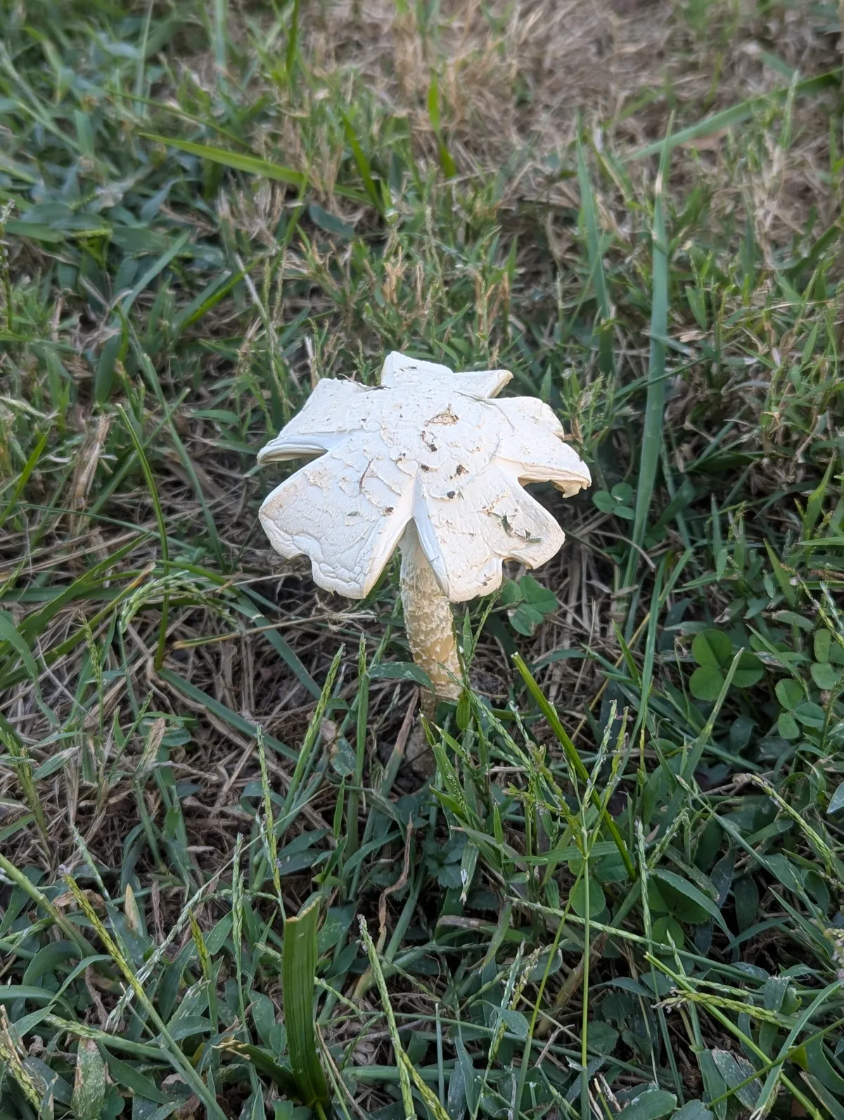 PXL_20250929_225918306