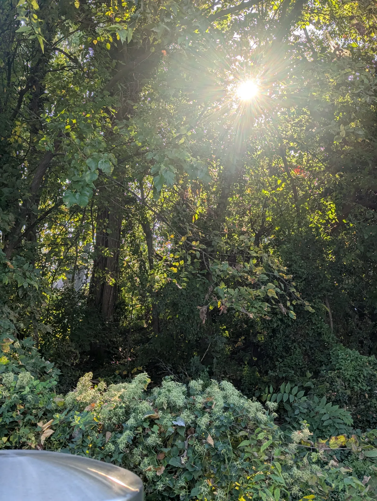 PXL_20251017_214100250