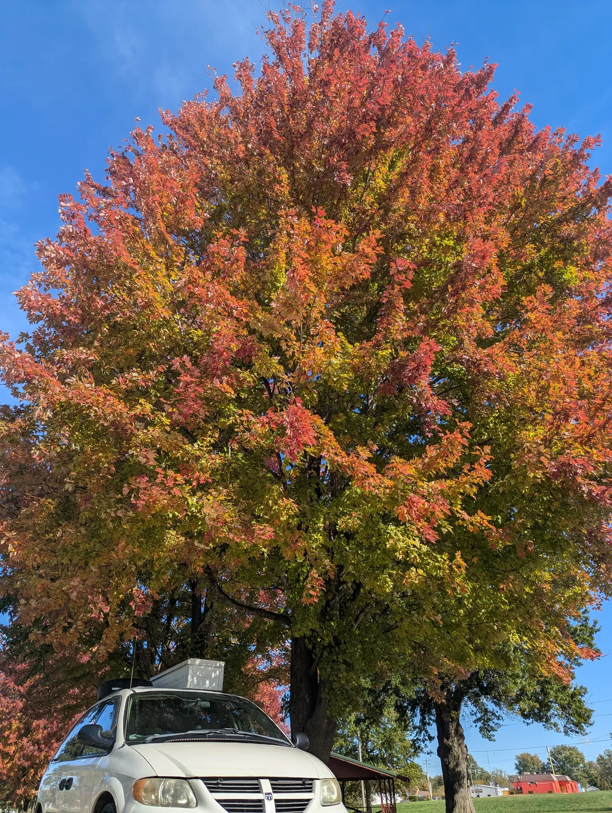 PXL_20251031_184946844