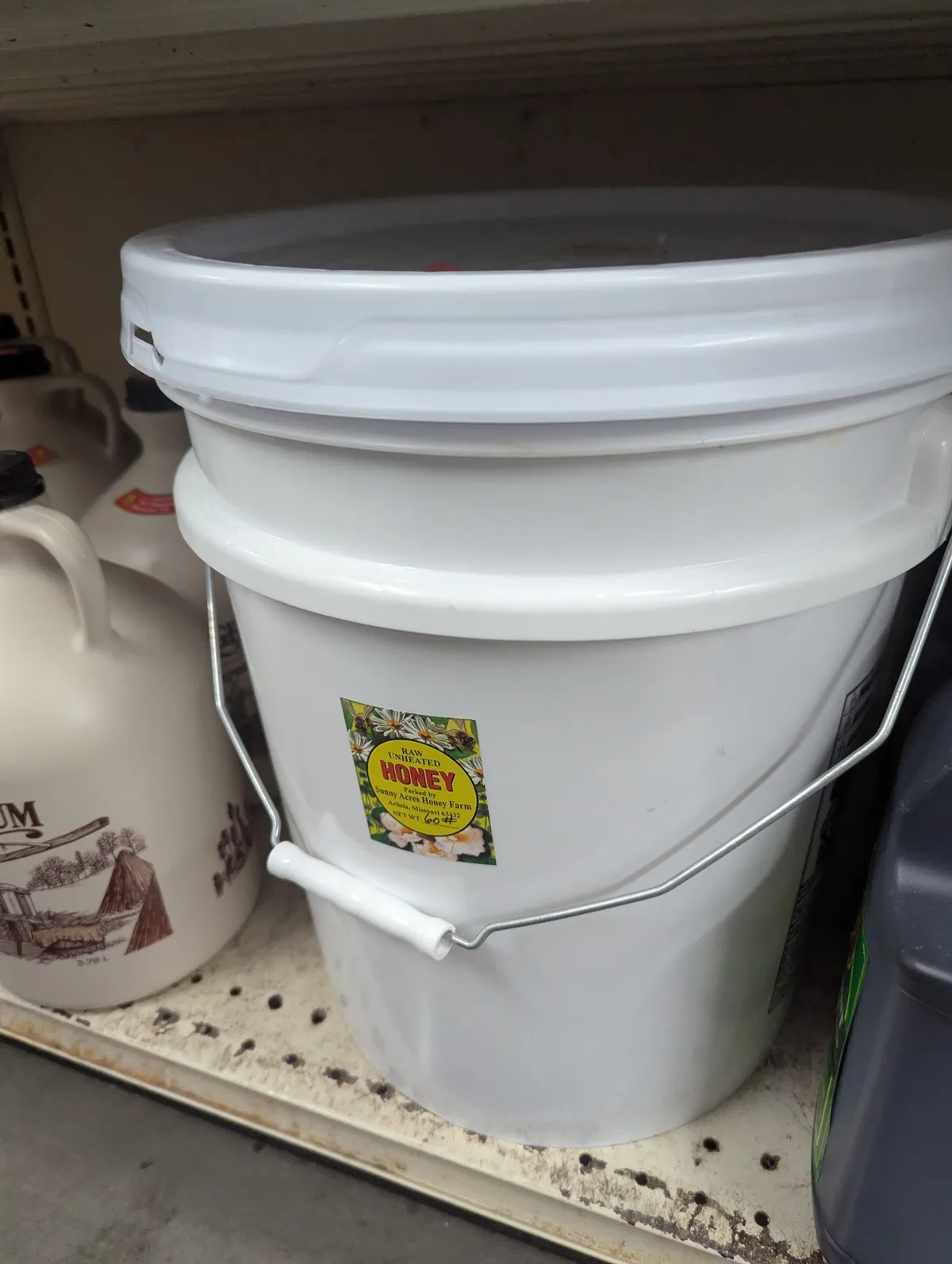 PXL_20251031_202441187