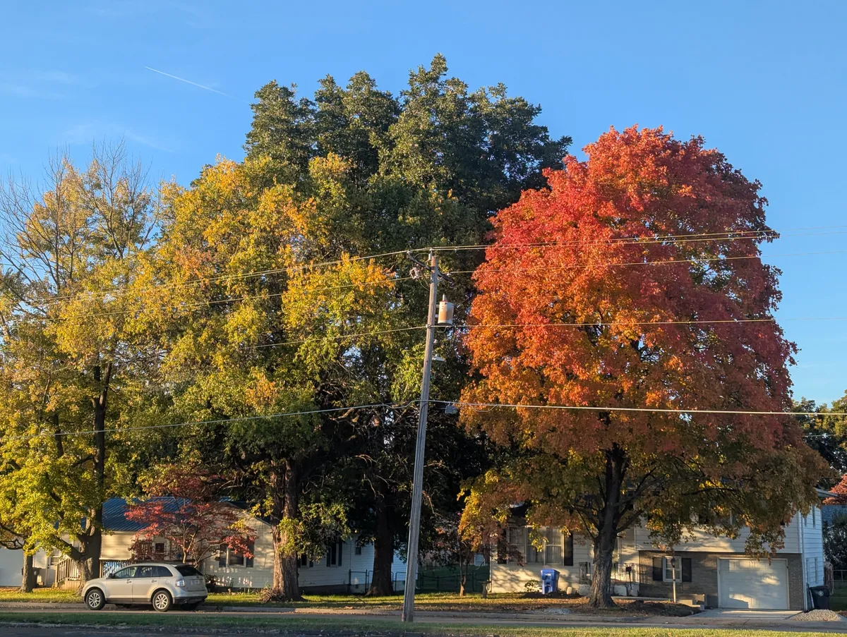 PXL_20251103_222442751