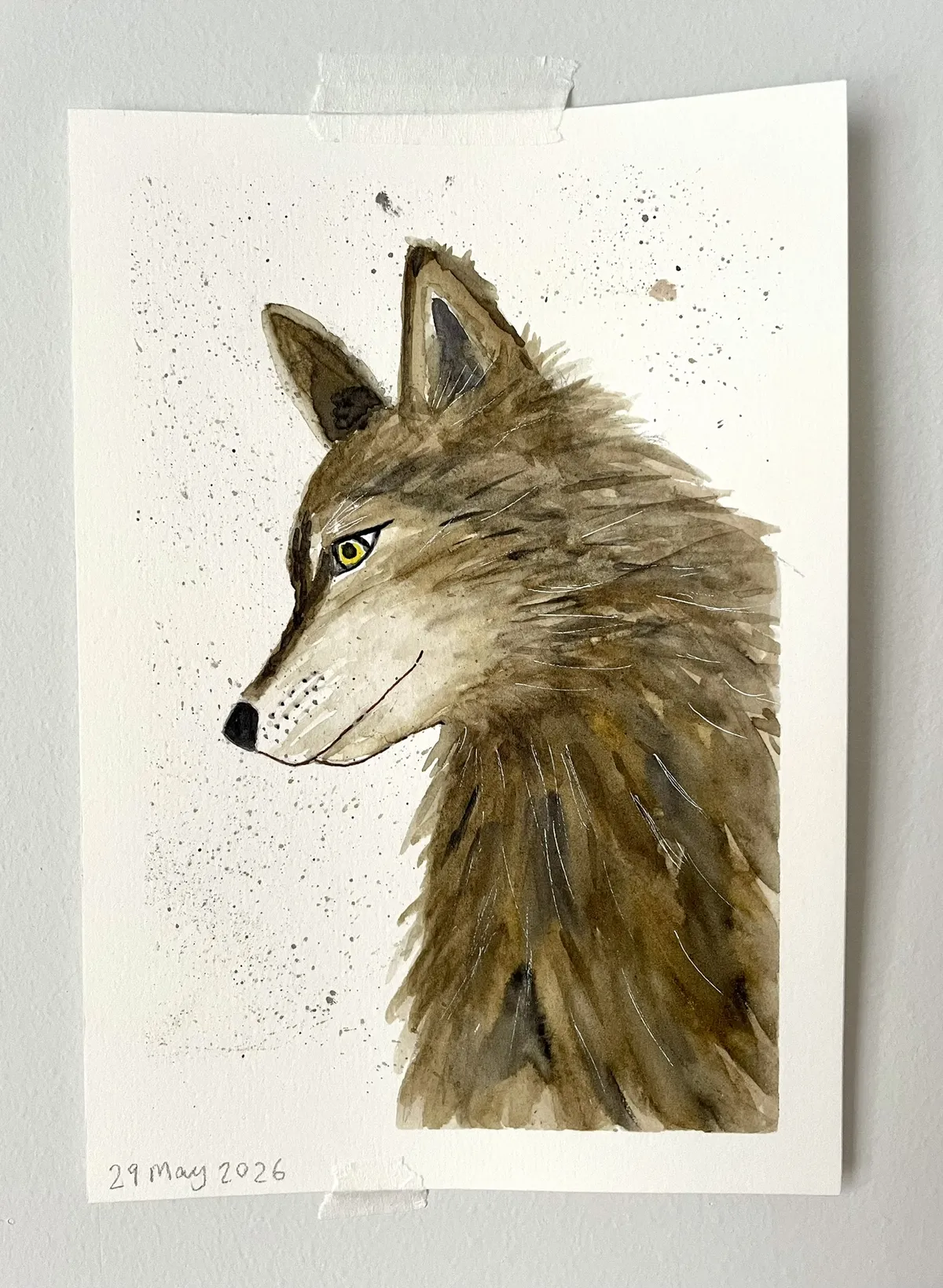 A watercolour painting of a wolf