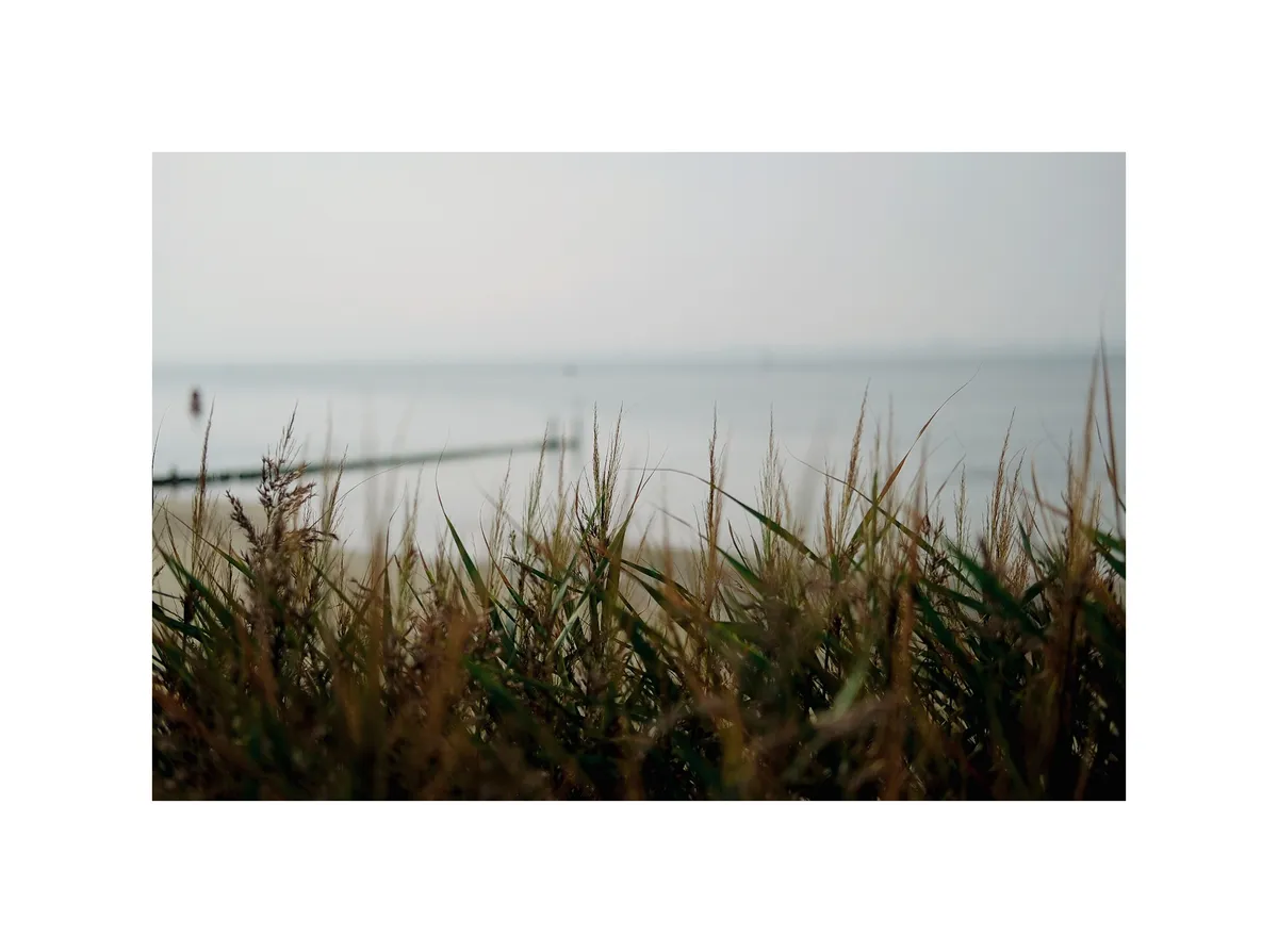 2021_0919_12302200 (1)-01