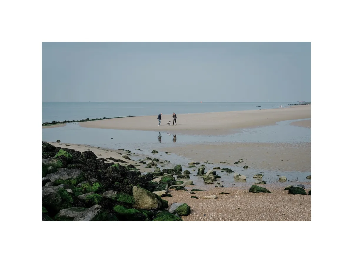 2021_0919_12314800-01