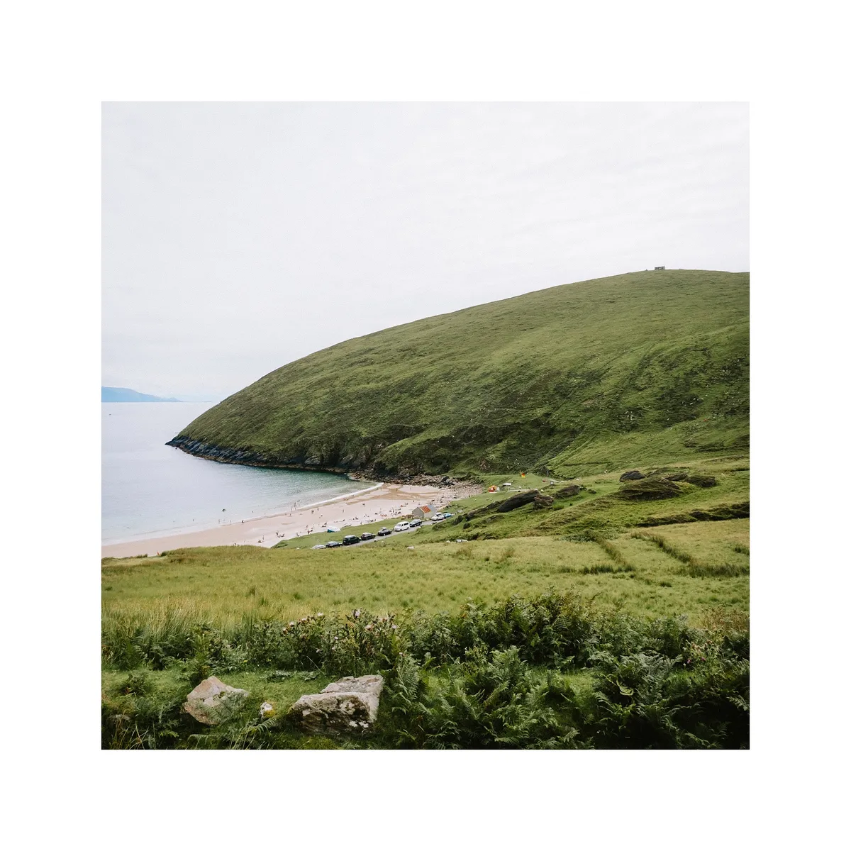 20230808-IE234263-01