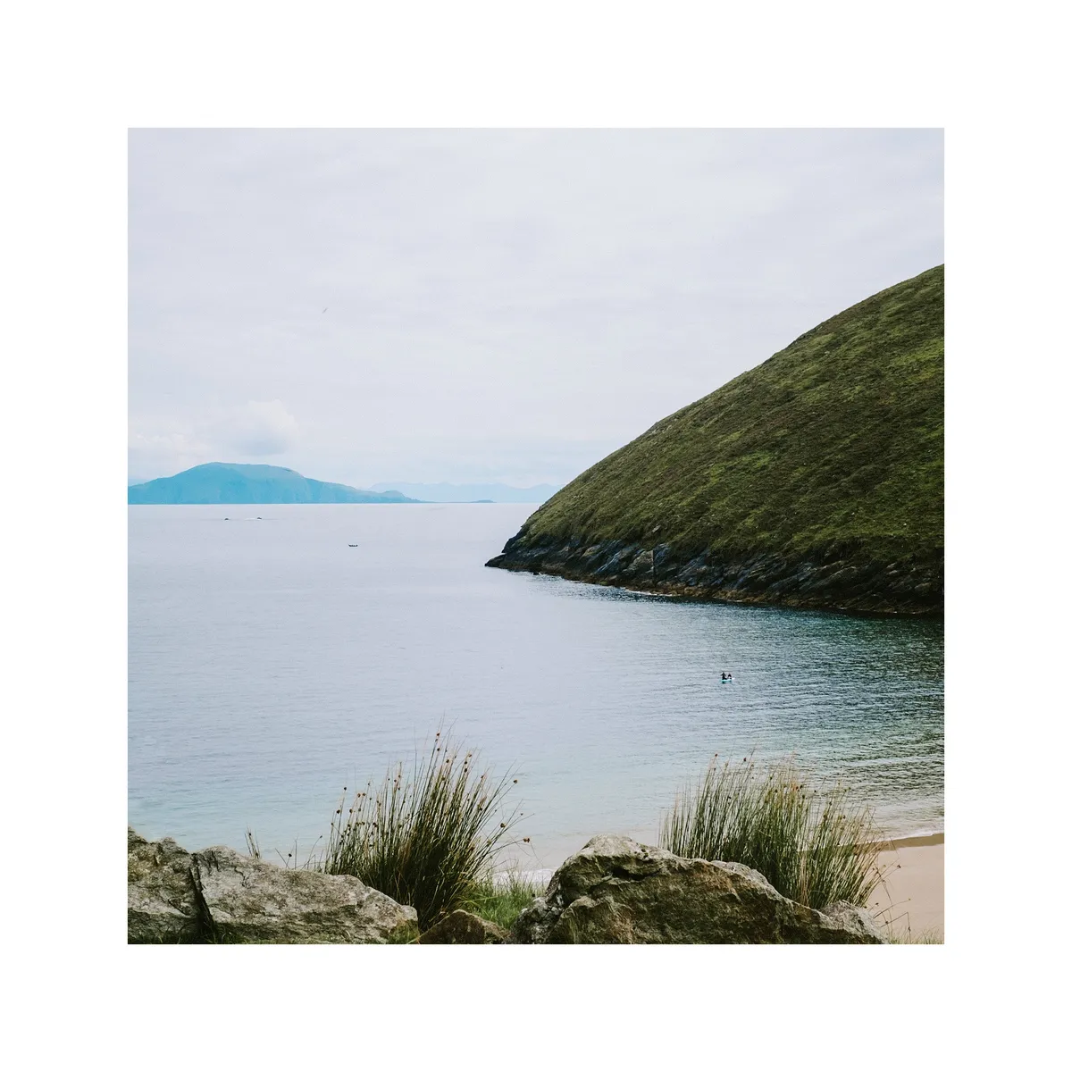 20230808-IE234297-01