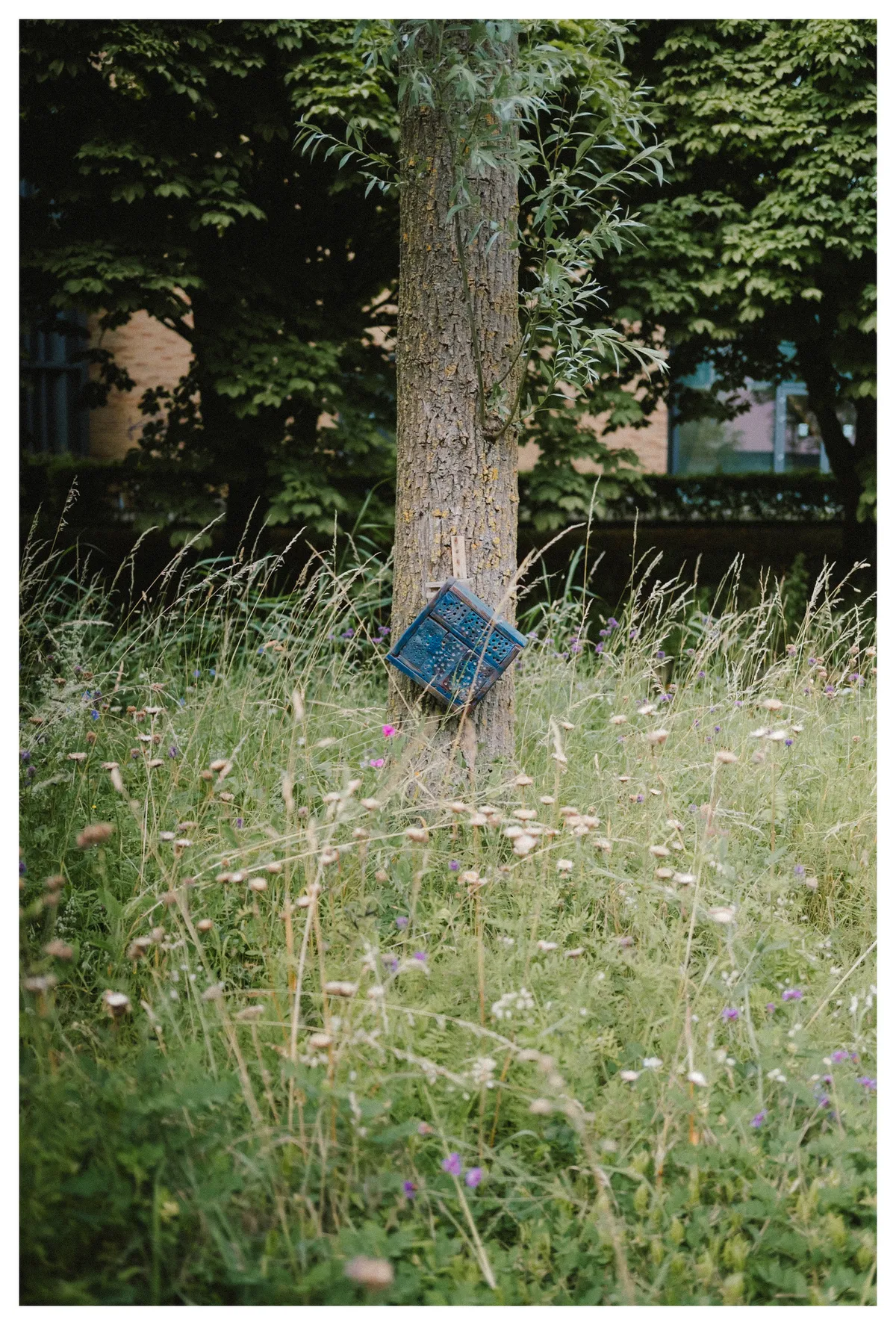 20a9f30f-05b4-4f5a-8b1e-eeedae820db6_rw_1920