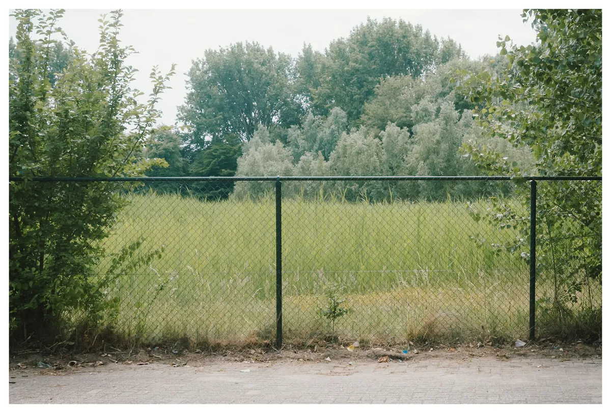 55c9362f-3ab7-4516-bfaf-6da6d6bfaeb1_rw_1920 (1)