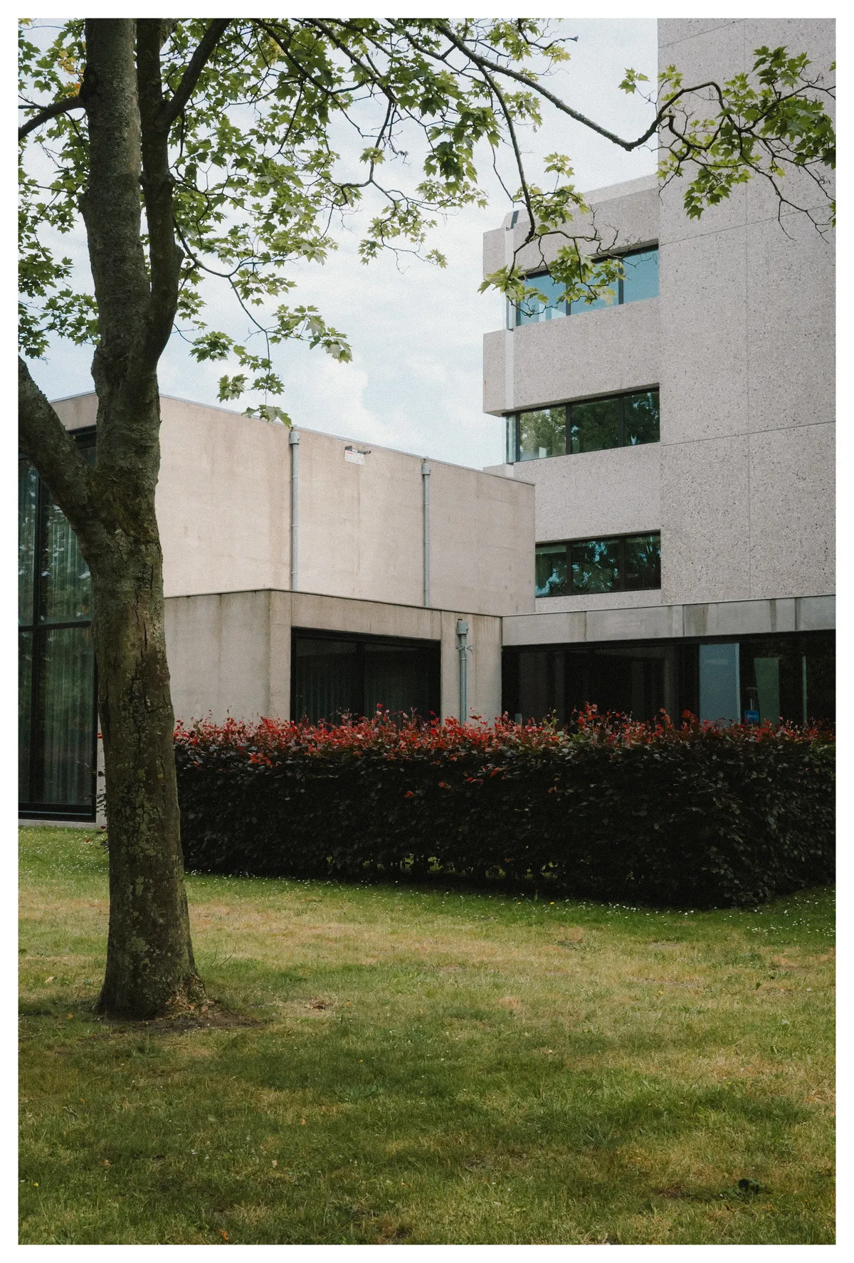 b8f0b427-5bab-44a1-a39f-f0bb75633482_rw_1920