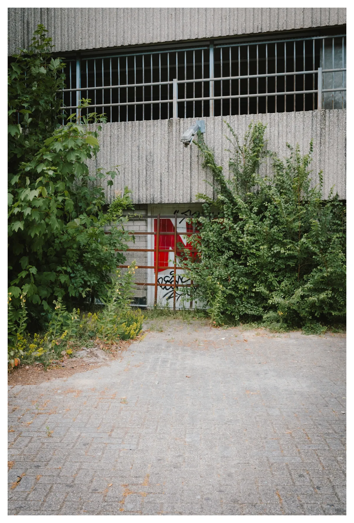 e5a780fe-b537-4df5-beb8-c05180eb1c13_rw_1920