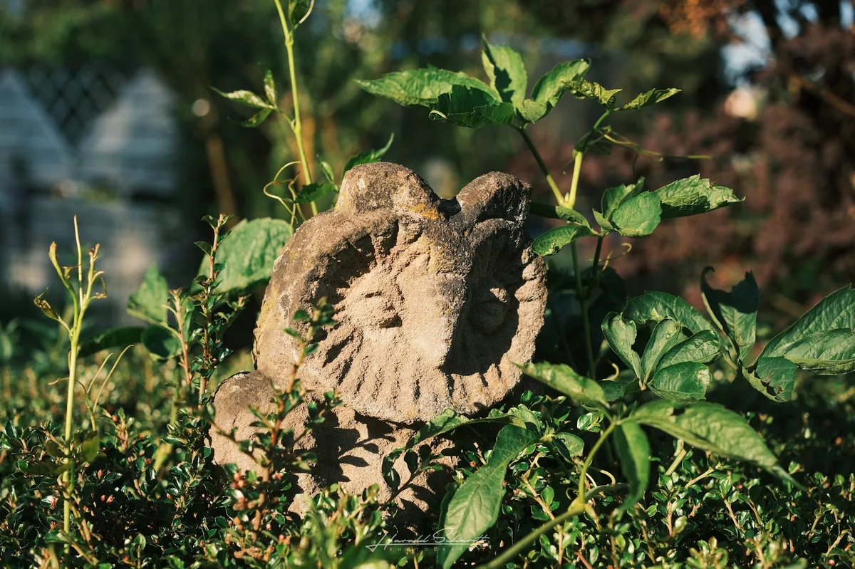 A weathered stone owl sculpture sitting among garden shrubs and climbing plants, warm golden sidelight.