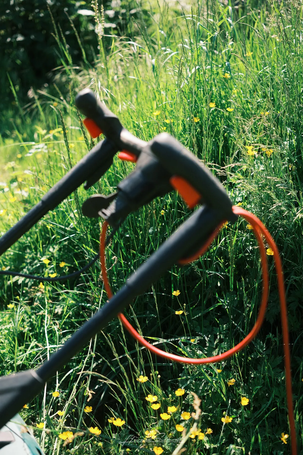 A lawn trimmer and its orange cable lying in tall grass with yellow flowers in bright sunlight.