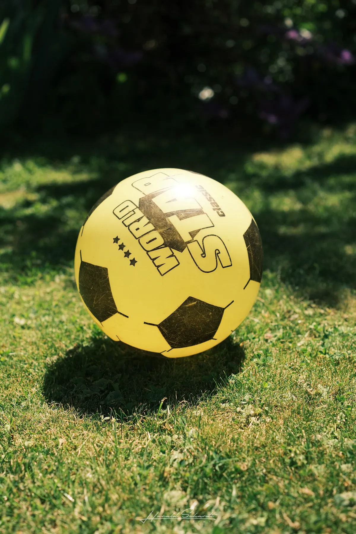 A yellow and black football resting on short grass in strong sunlight.