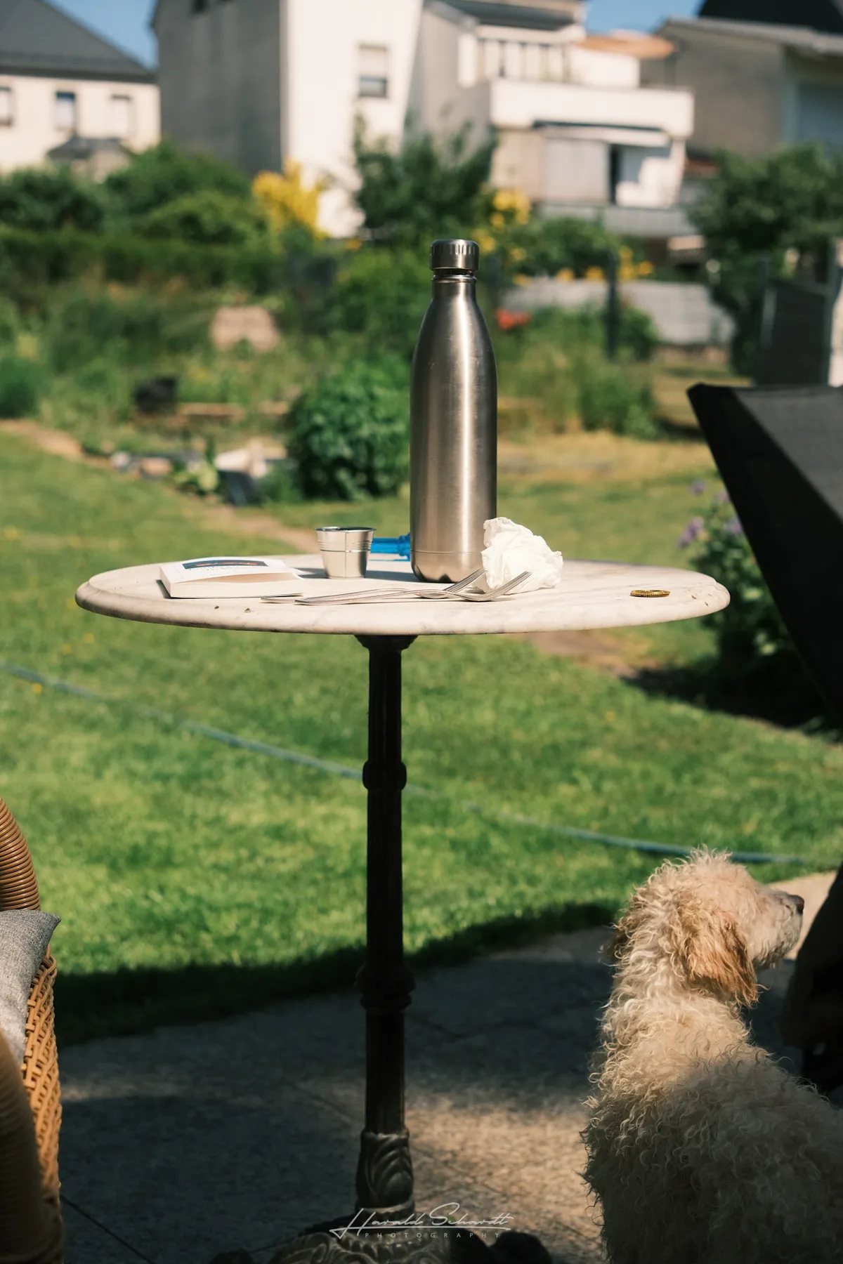 A marble bistro table with a steel water bottle and cutlery in a sunny garden, a curly-haired poodle peeking into the frame.
Du hast gesagt: Hard to ignore: the garden needs work.