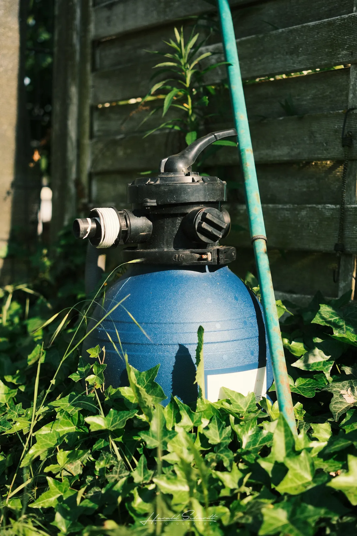 A blue pool filter pump half-hidden by ivy, leaning against a weathered wooden fence.
