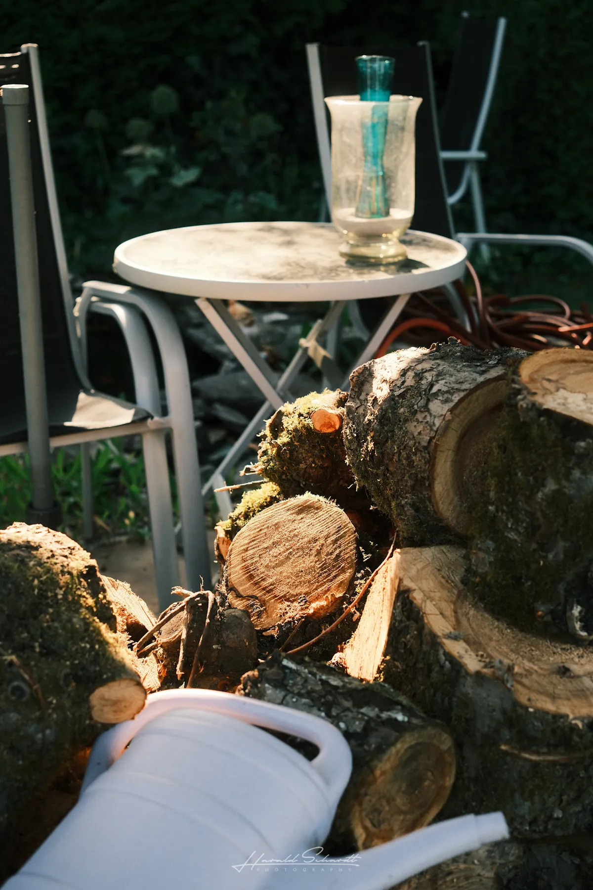 Mossy logs piled in a garden, a round metal table with a glass vase in soft focus behind them.