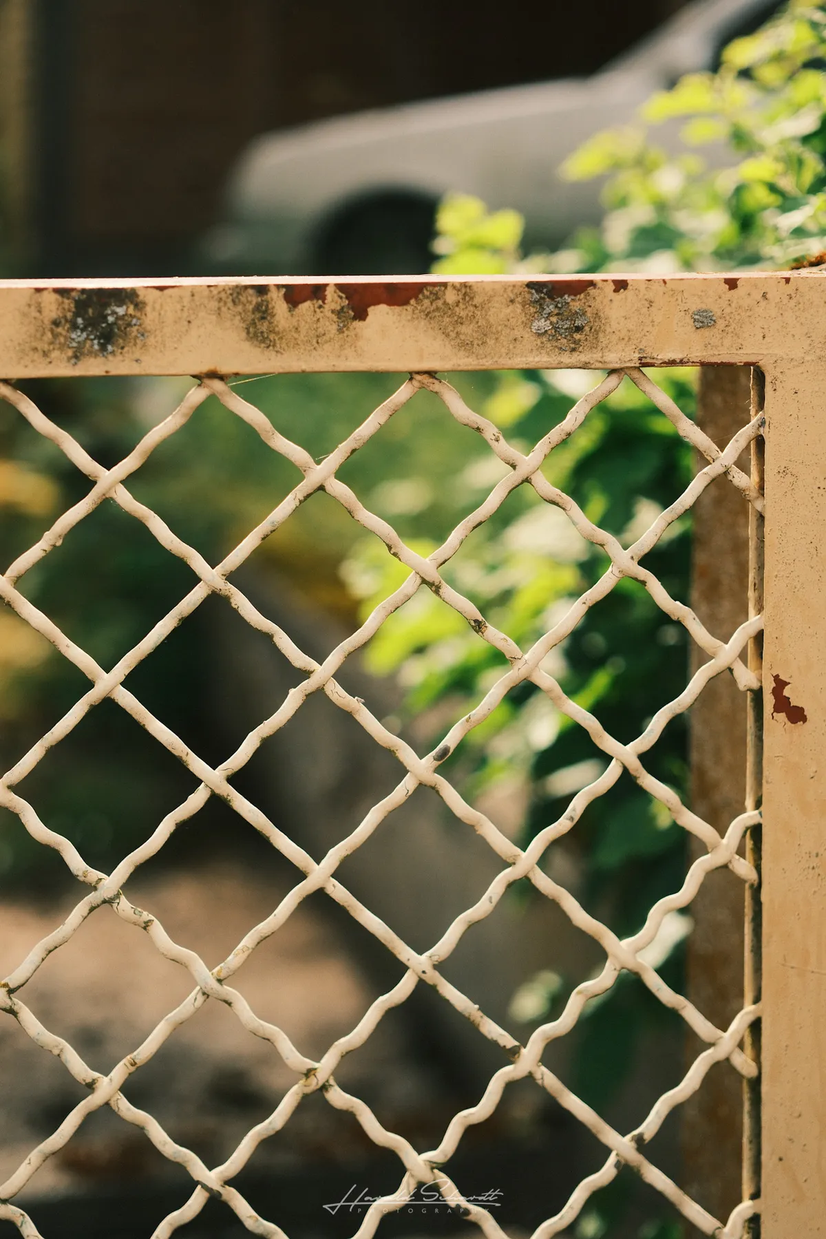Close-up of a rusted white metal garden gate, green bokeh background.