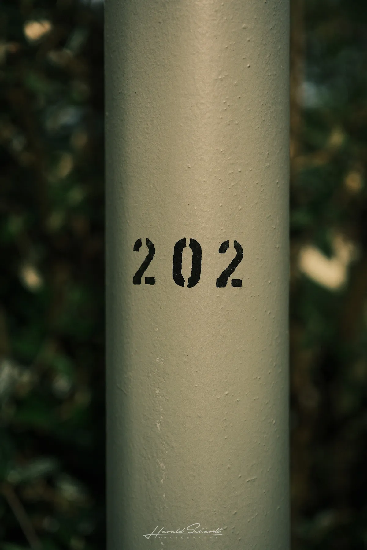 The number 202 stencilled in black on a grey metal pole, dark green foliage behind.