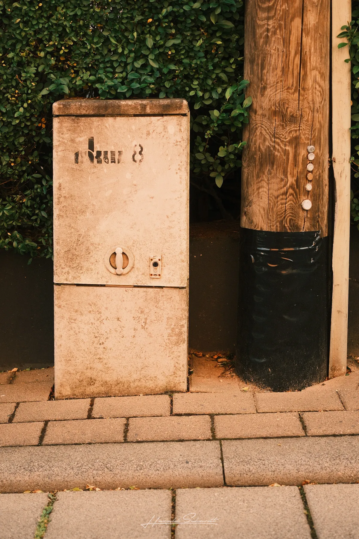 A weathered concrete utility box with a stencilled label next to a wooden post, against a hedge.