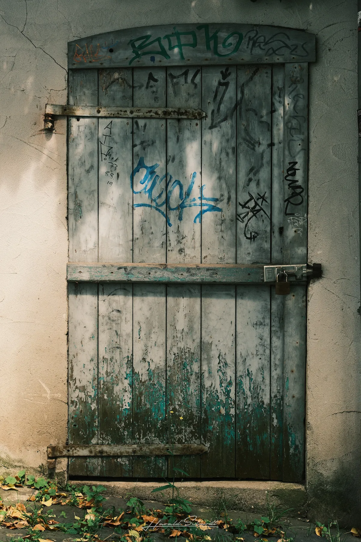 A weathered wooden door with peeling teal paint and graffiti tags, set in a cracked rendered wall, dry leaves on the ground.