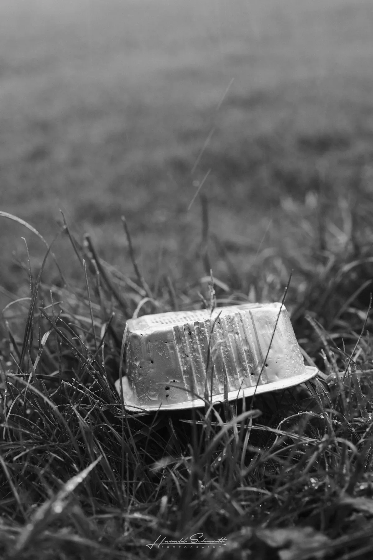 Discarded plastic container lying in wet grass during the rain.