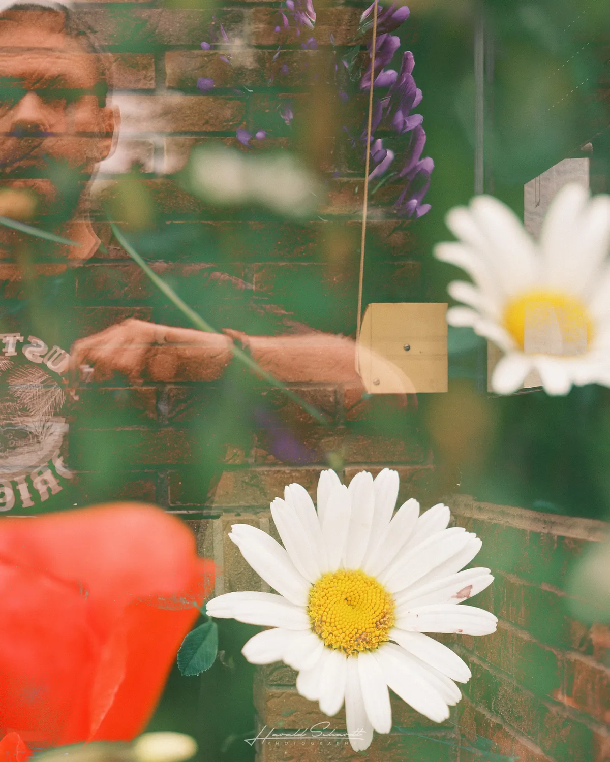 Self portrait combined with flowers and garden reflections.