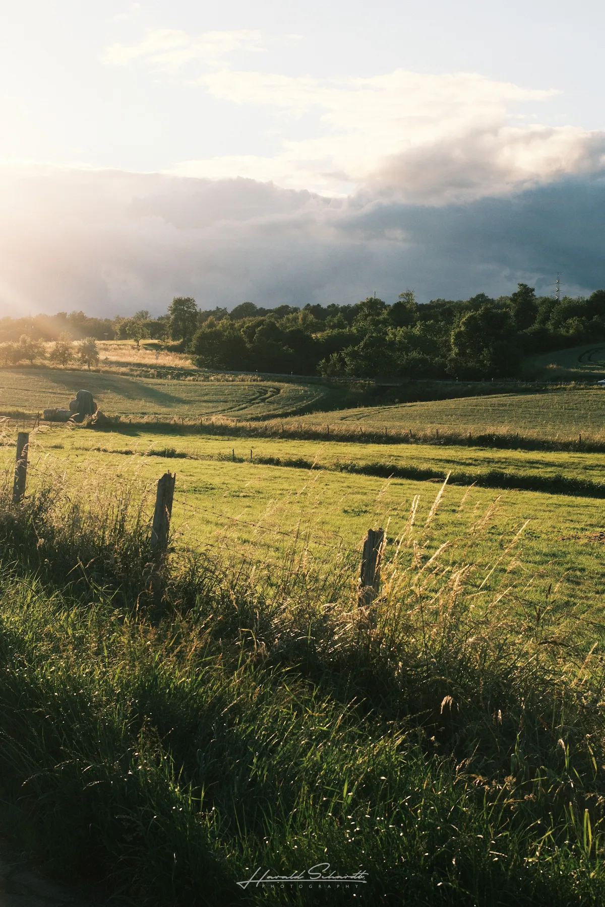 Rolling countryside and sunlit fields glowing in the late afternoon sun.