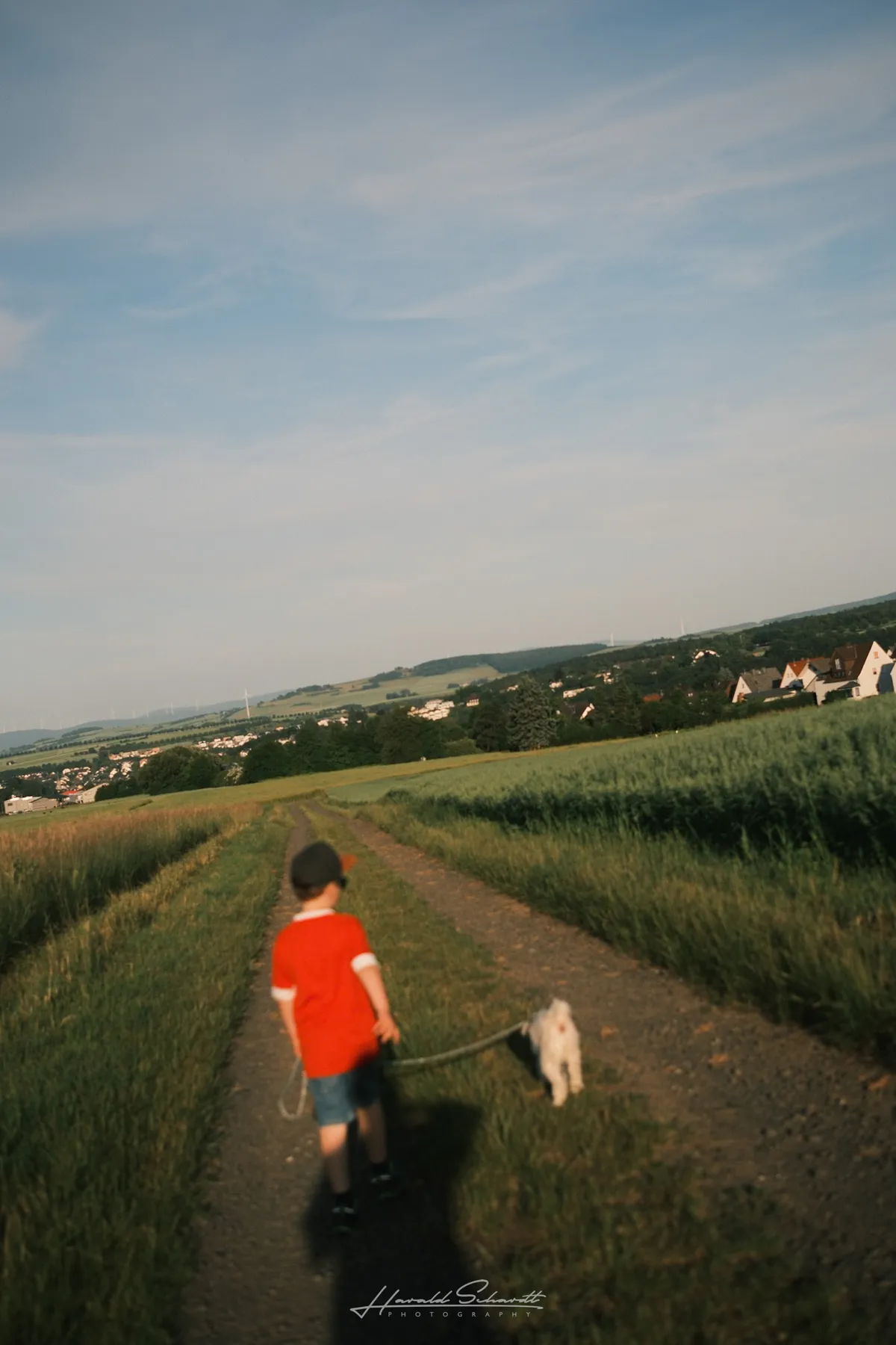 A young boy and a small white dog walk along a country track with rolling fields and distant houses under a wide evening sky.