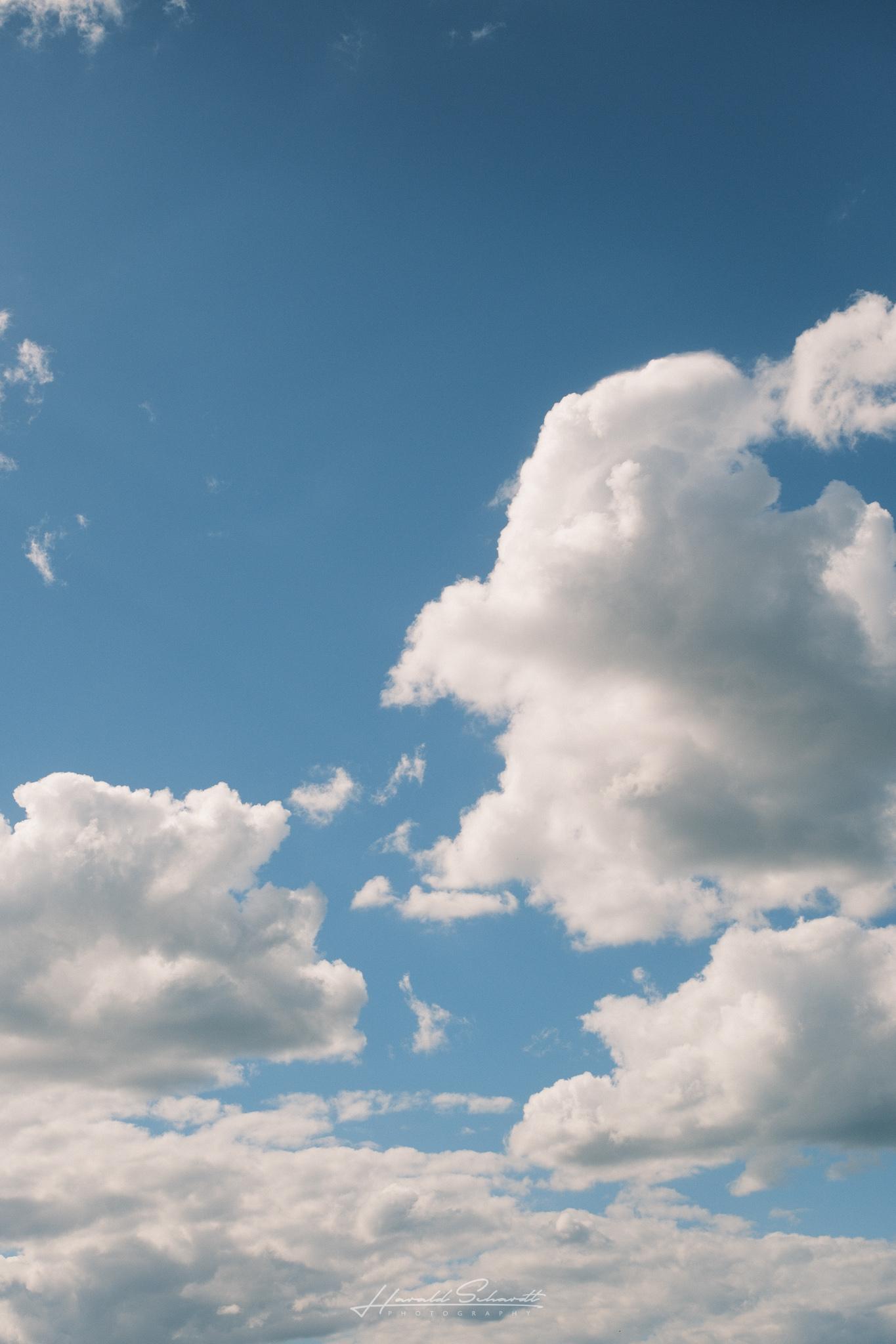 Large white clouds drifting across a bright blue summer sky.