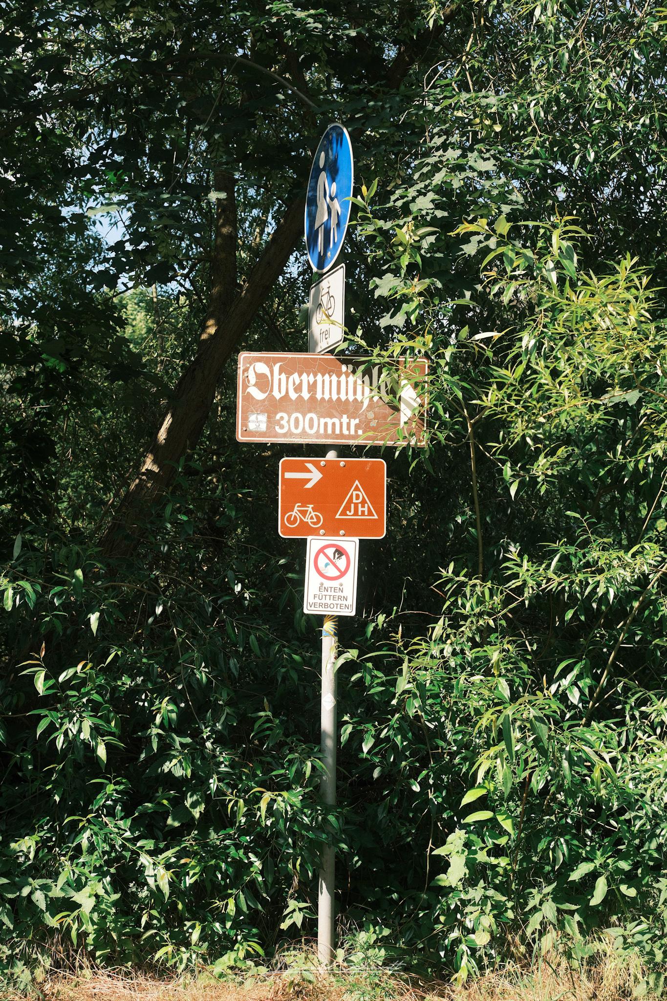 Signpost pointing toward Obermรผhle, surrounded by dense vegetation.