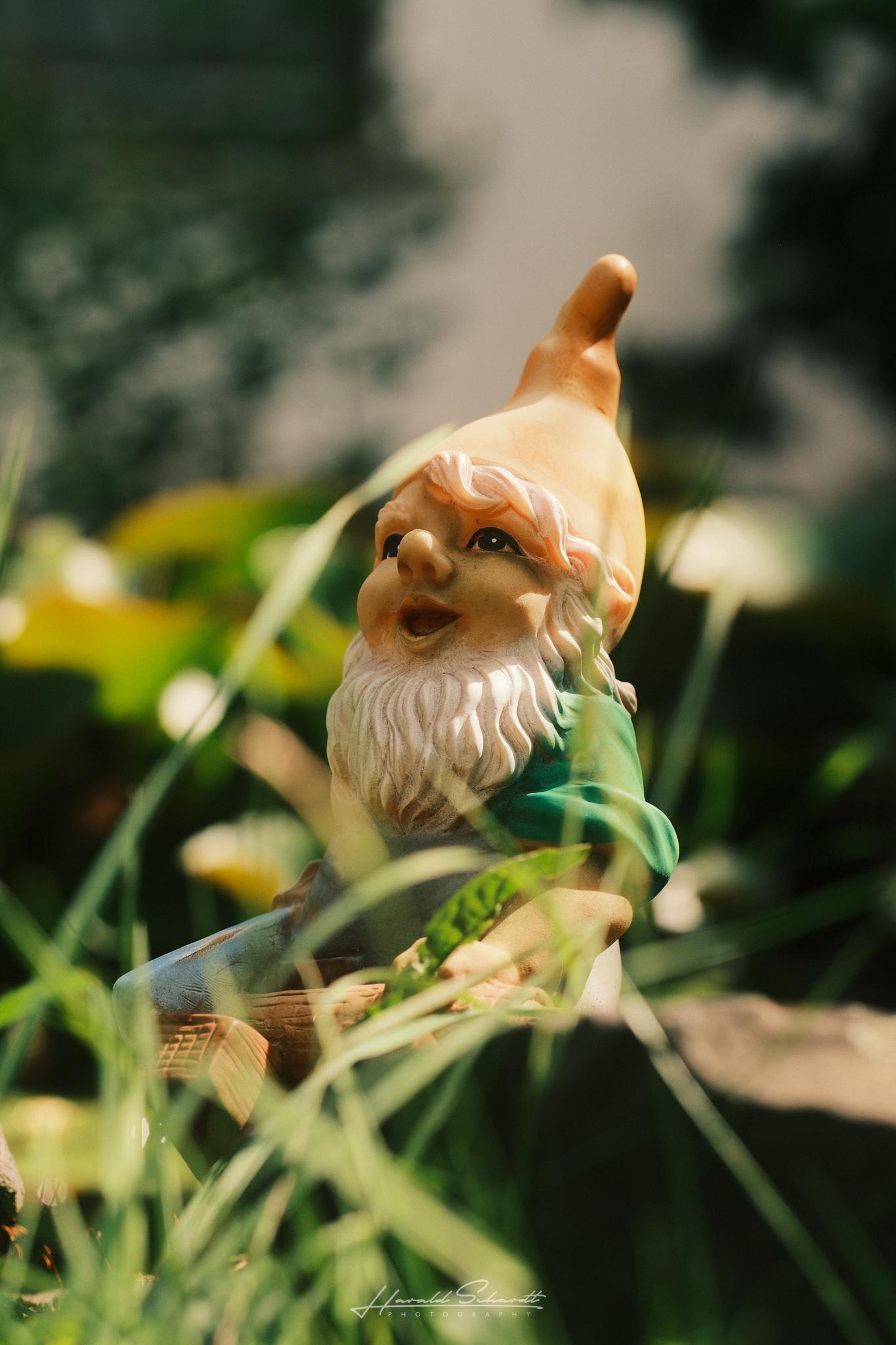 Garden gnome surrounded by tall grass and flowers