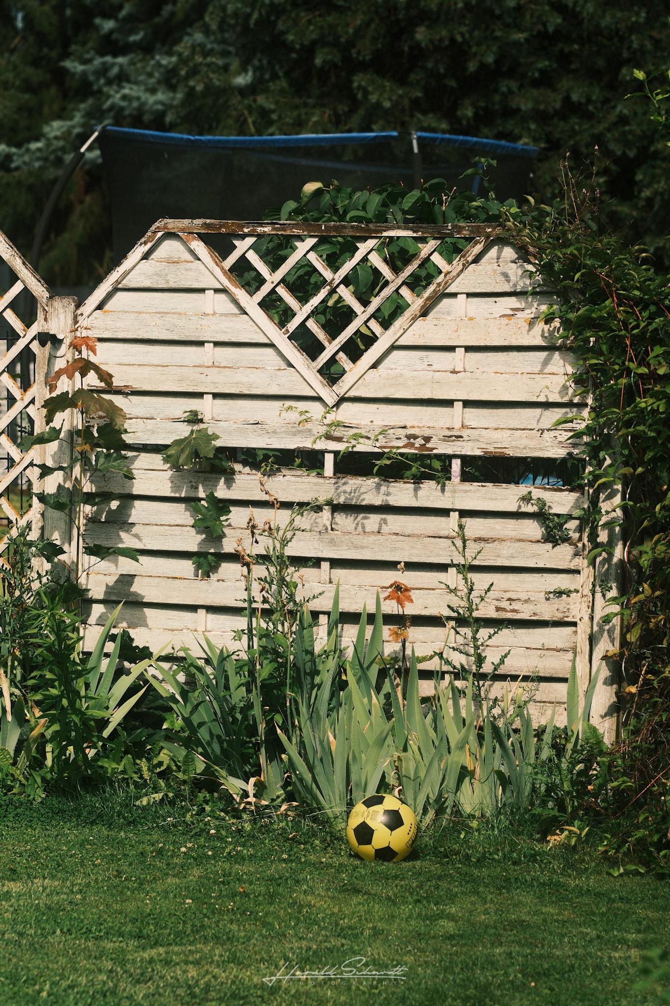 Weathered garden fence with a yellow football in front
