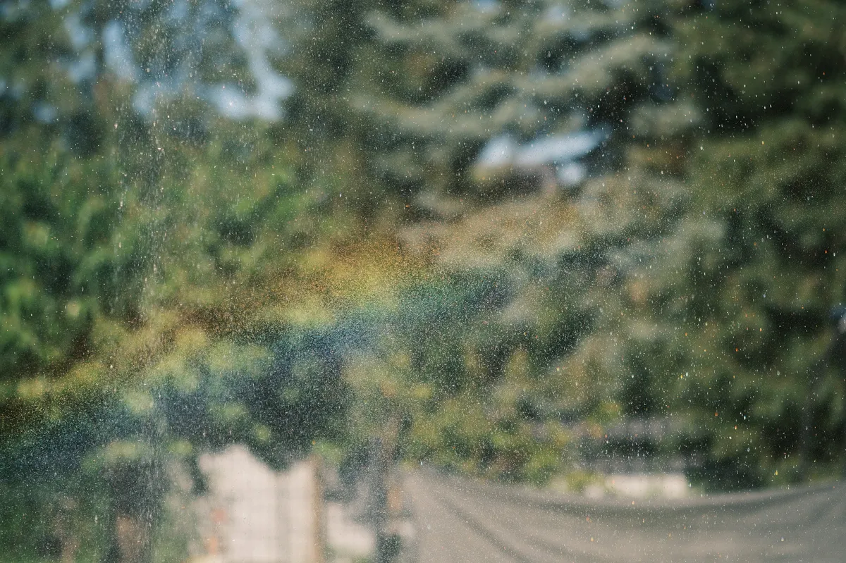 Rain falls in front of a blurred garden scene while a lawn sprinkler creates a soft rainbow across the frame. Trees and greenery fill the background, giving the image a calm, dreamy feel.