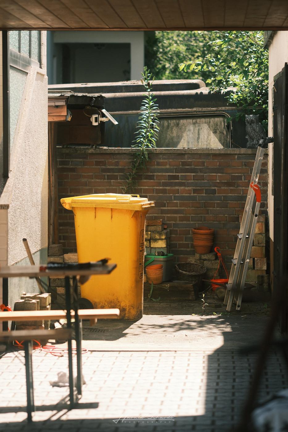 A sunny backyard corner with a yellow waste bin, a ladder, plant pots, and garden tools near a brick wall.