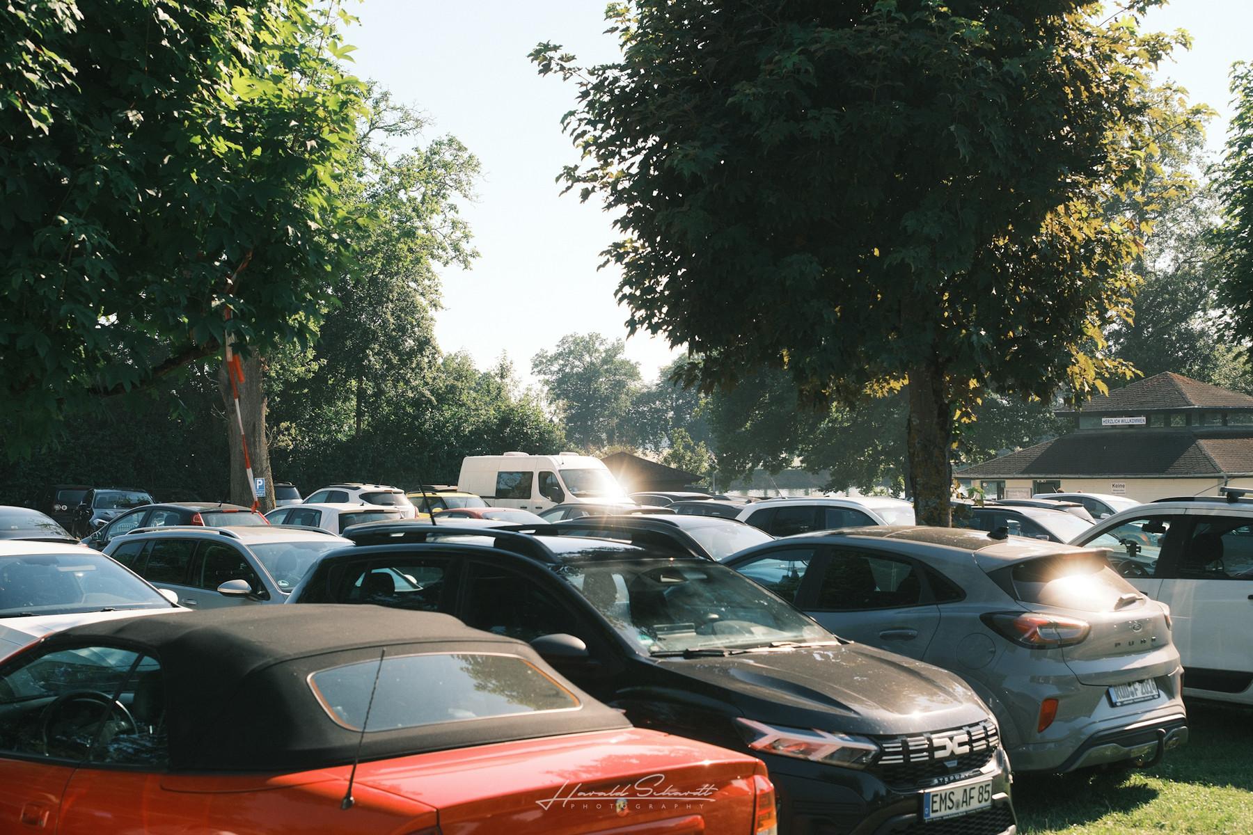 Cars parked beneath tall trees near the lakeshore on a warm summer evening.