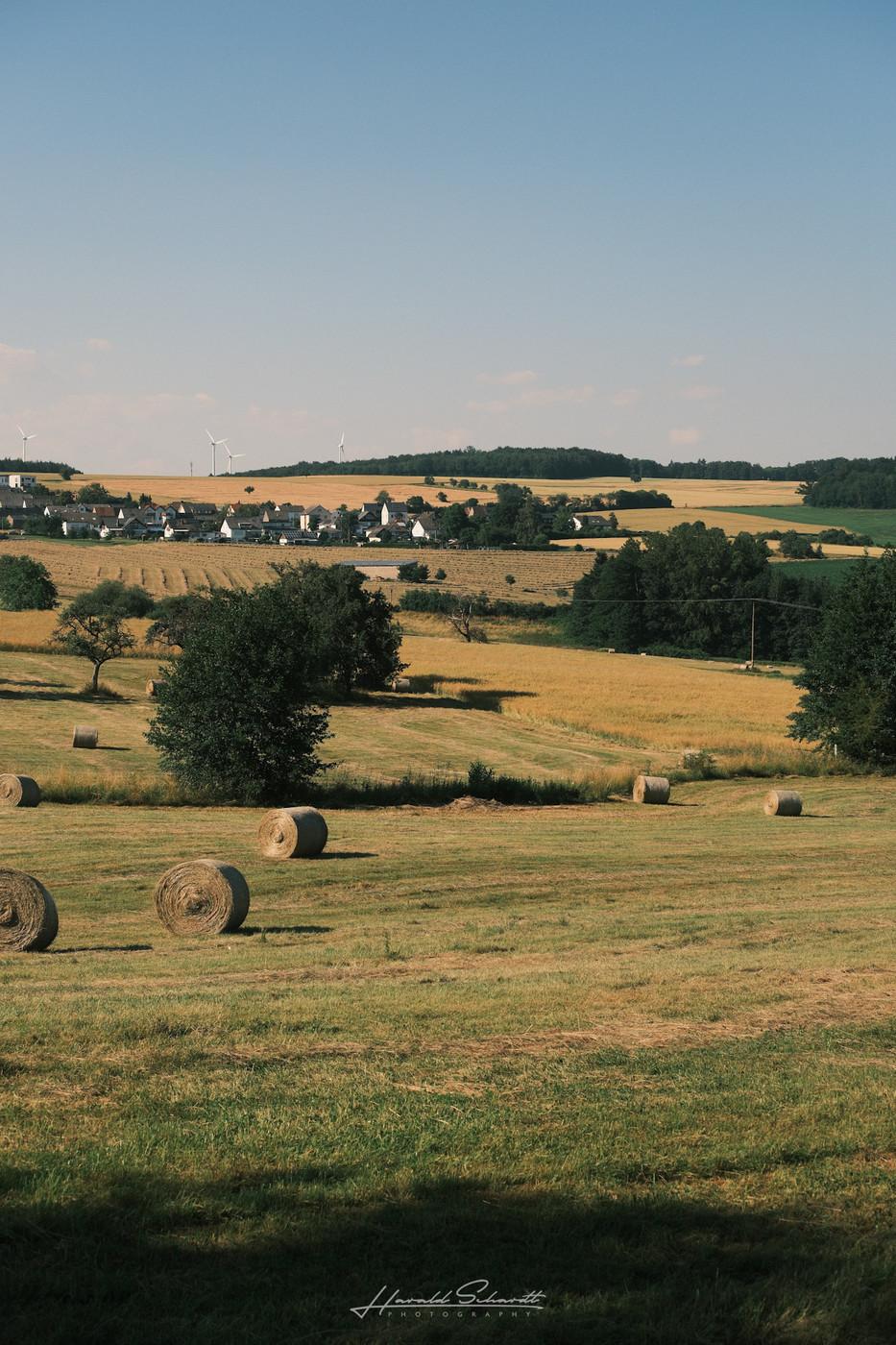 Golden fields with rolled hay bales under a warm summer evening sky.