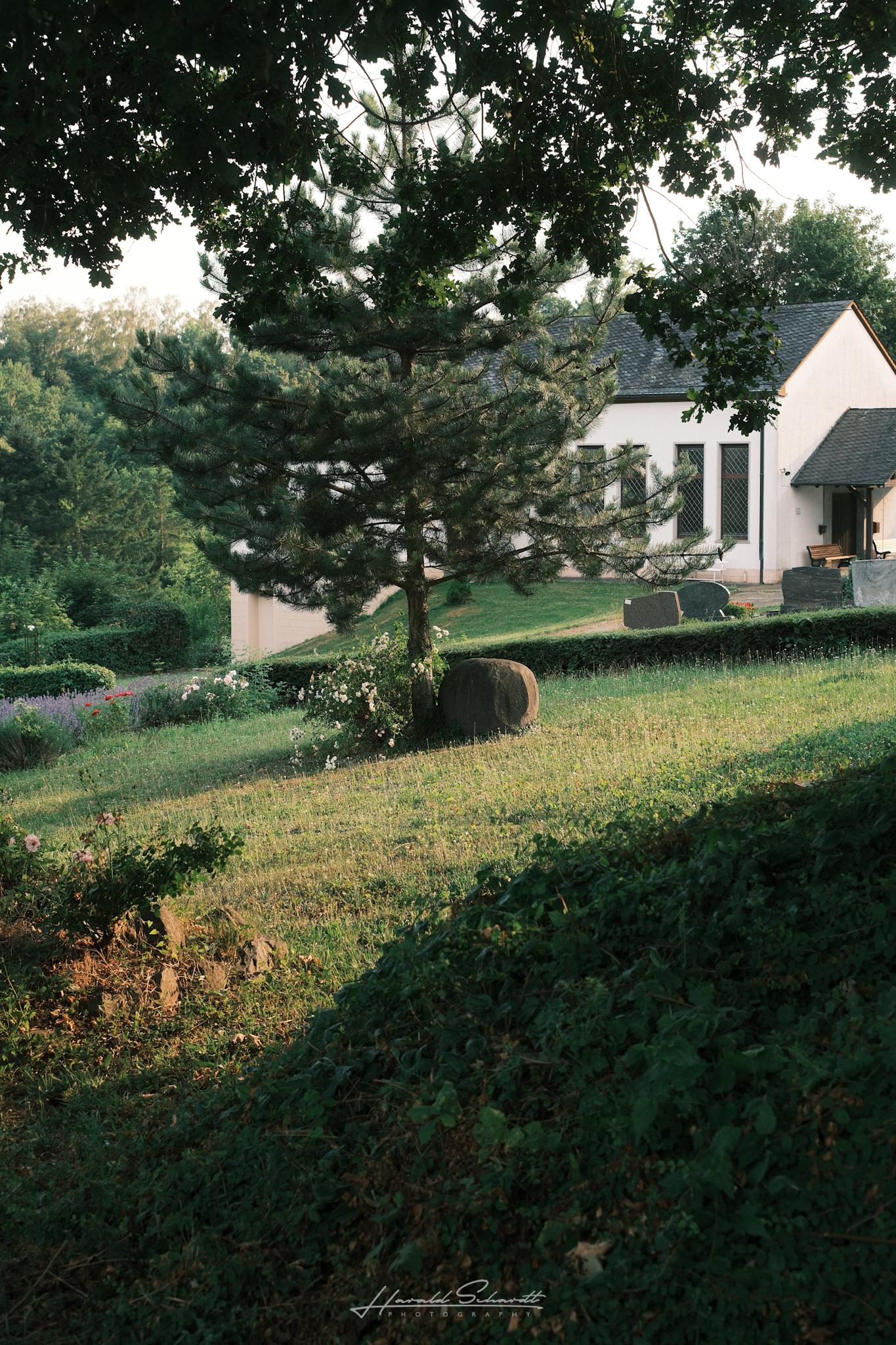 A small white cemetery chapel sits on a grassy hillside, partially hidden behind mature trees, with warm evening light filtering through the branches.