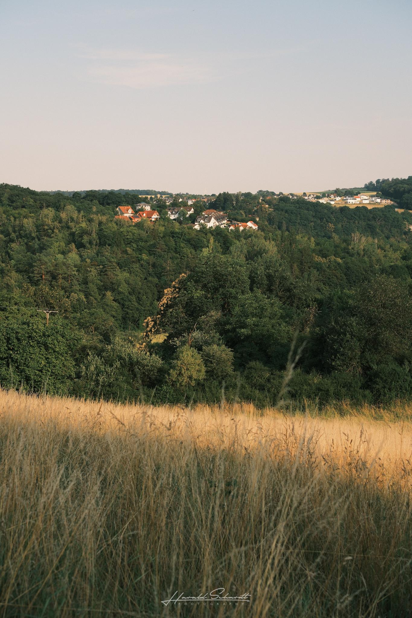 Tall golden grass in the foreground overlooking the wooded Lahn Valley, with several villages scattered across the hills on the opposite side beneath a soft summer sky.