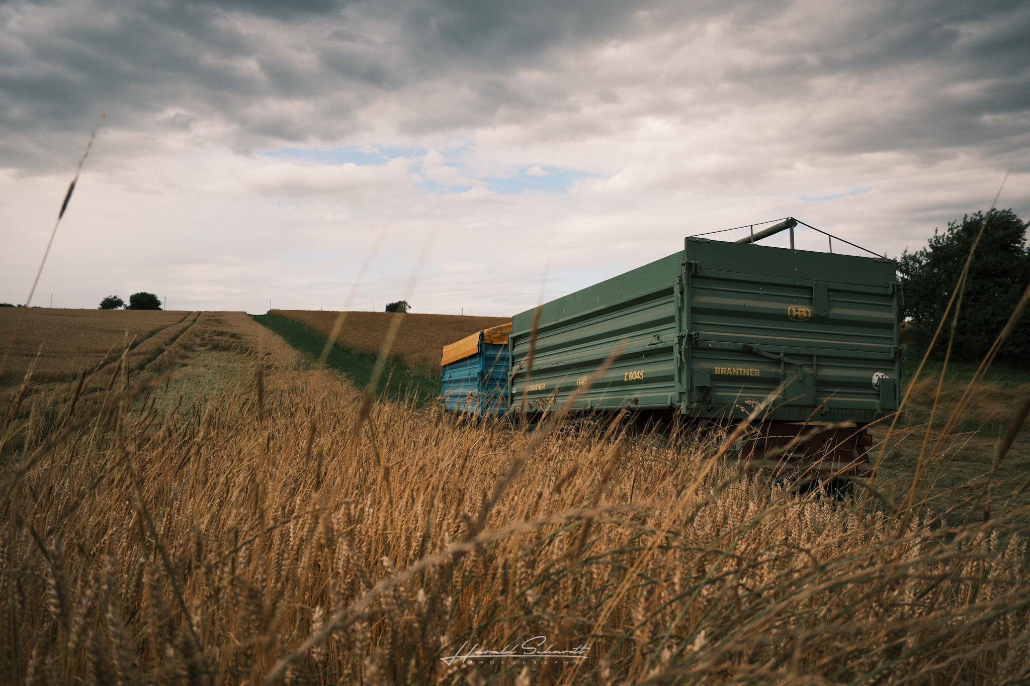 A green grain trailer stands beside a wheat field under dark, dramatic summer clouds.