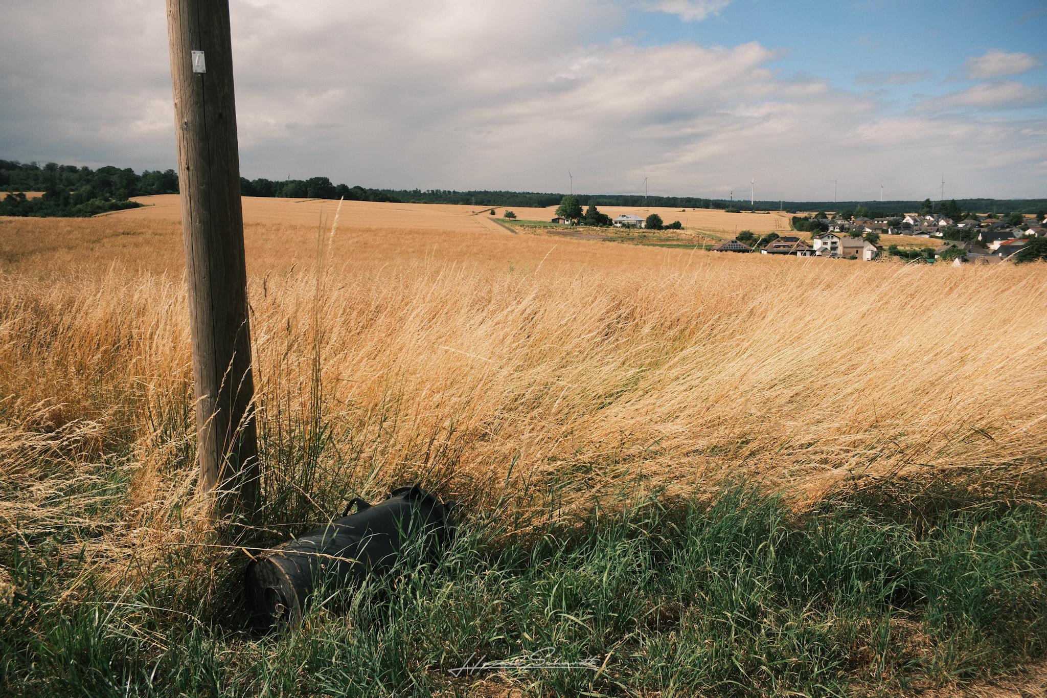 Golden grass sways beside a utility pole overlooking fields, scattered houses, and distant wind turbines.