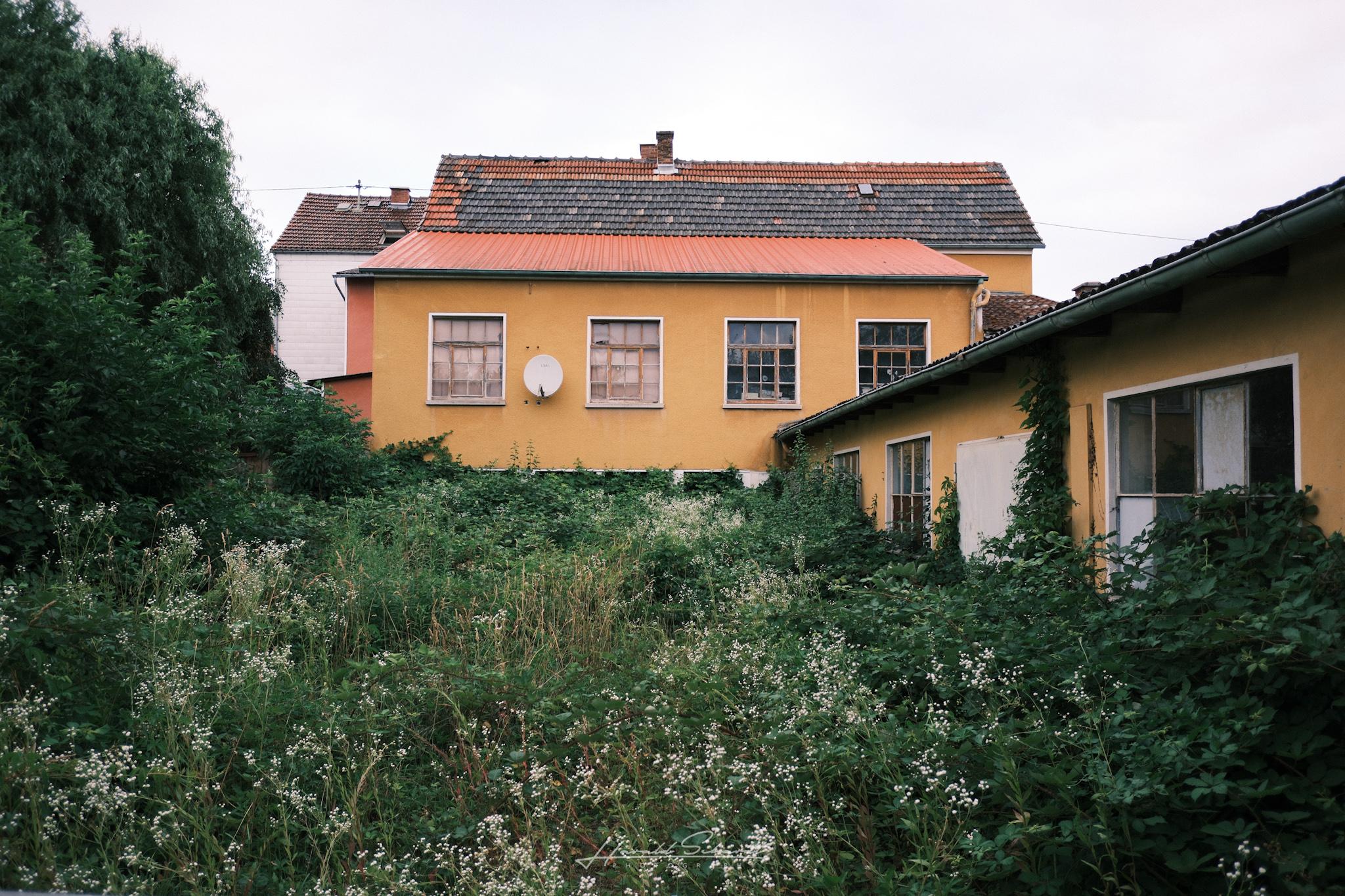 An overgrown backyard surrounds an old yellow building with weathered windows and a faded orange roof.