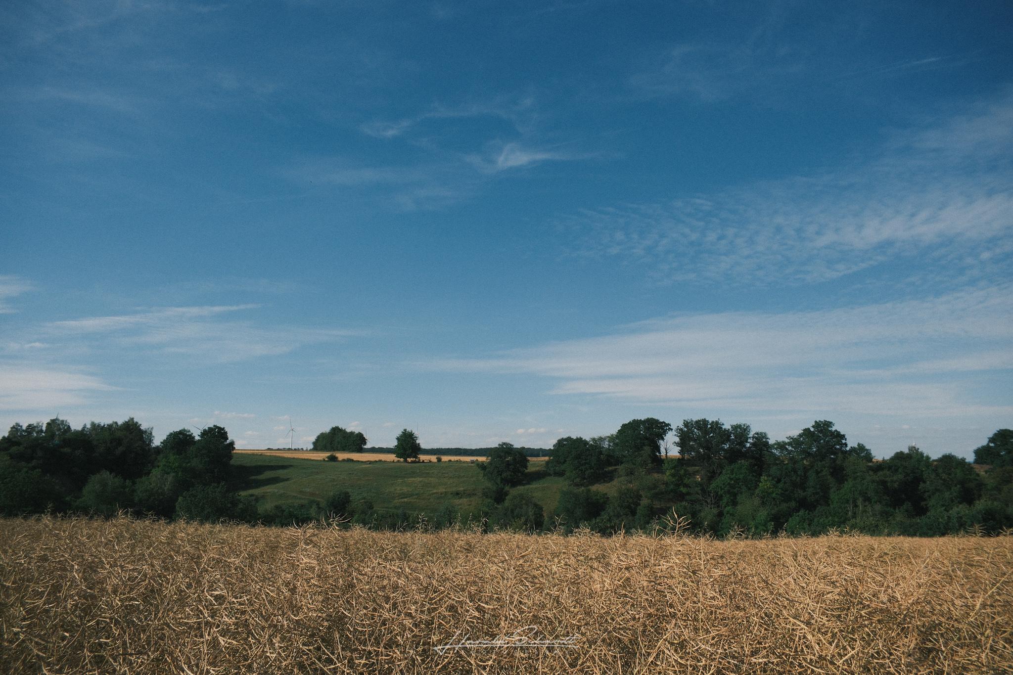 Golden field with dry grass in the foreground, green hills and trees on the horizon, wind turbines faintly visible in the distance under a blue sky.